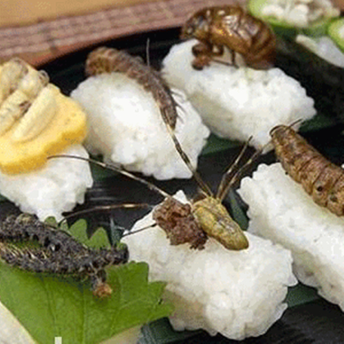 仡佬族吃虫节是什么节日